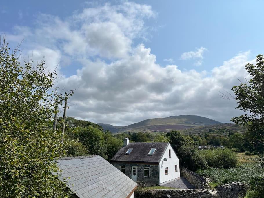 Bryn Rhedyn Cottage Cwm-y-glo Exterior foto